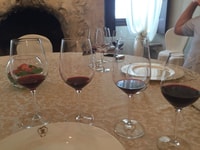 Verona, Amarone Wine Tour with Gourmet Lunch in Roman Villa - Housity