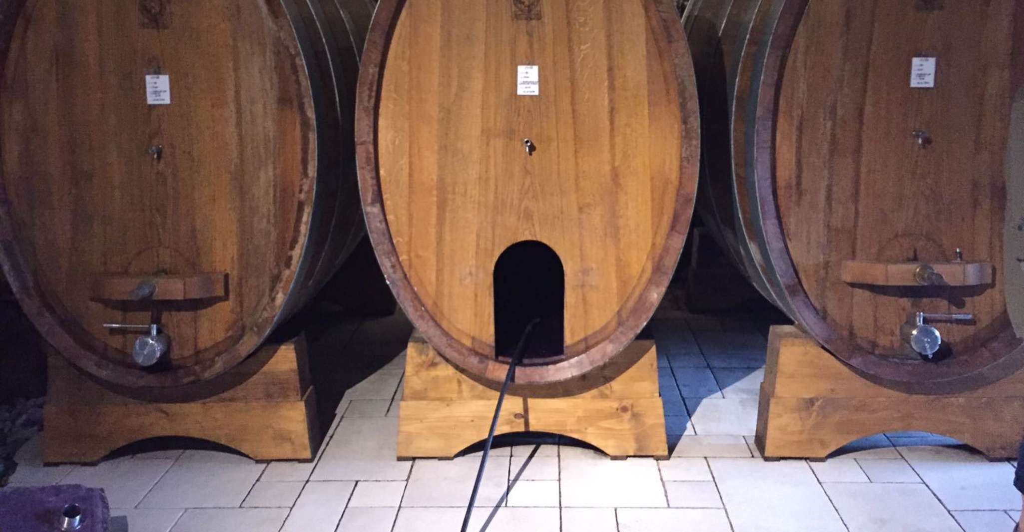 Verona, tour del vino Amarone con pranzo gourmet nella villa romana - Housity