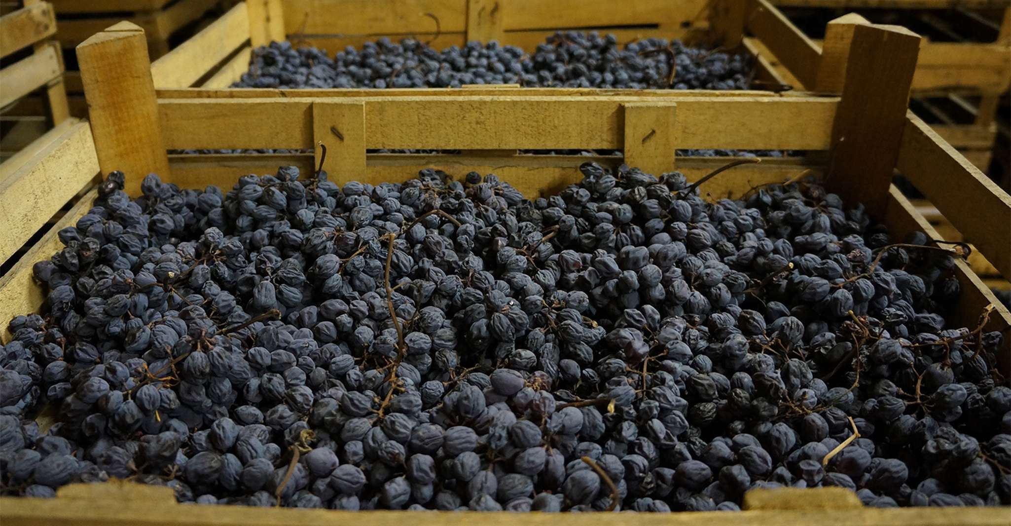 Verona, tour del vino Amarone con pranzo gourmet nella villa romana - Housity