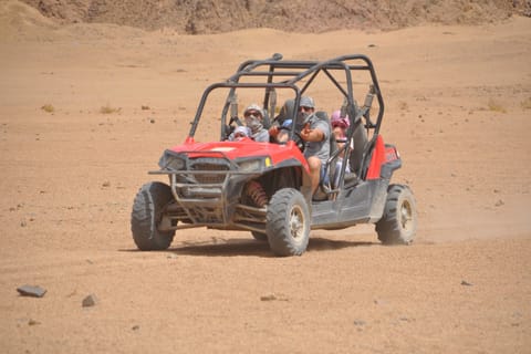 Sharm el-Sheikh: Dune Buggy Safari, Camel Ride & BBQ Dinner