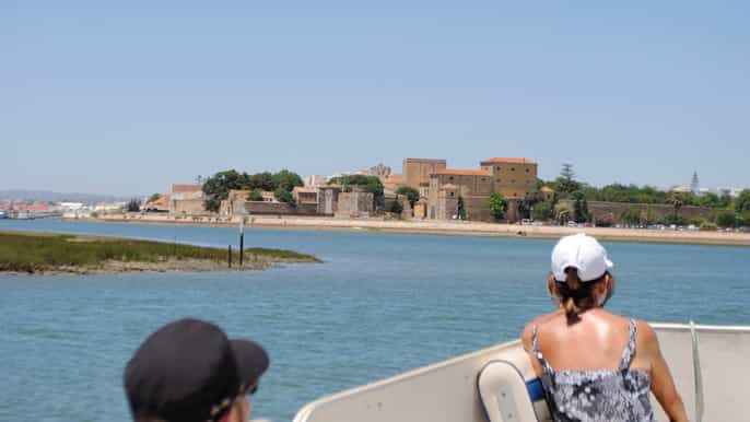 from faro ria formosa lagoon boat tour