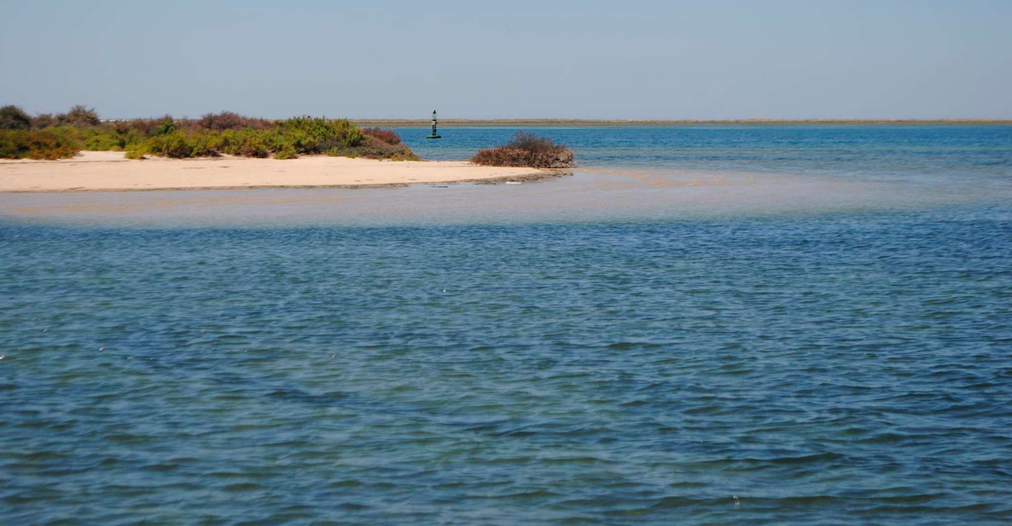 From Faro, Ria Formosa Lagoon Boat Tour with Local Guide - Housity