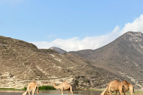 Tour delle spiagge occidentali: FAZAYAH