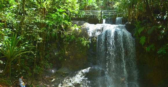 Suva: Fijian Nature and Waterfall Tour