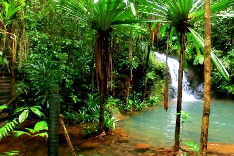 Suva: visite fidjienne de la nature et des cascades