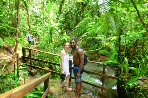 Suva: Fijian Nature and Waterfall Tour