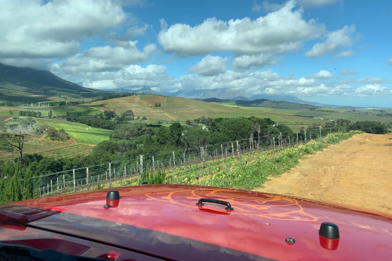 Du Cap: visite des vins de StellenboschLe Cap : visite des vins de Stellenbosch