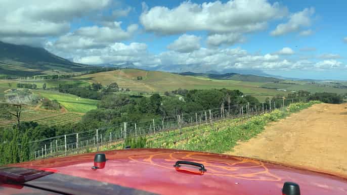 from cape town stellenbosch wine tour