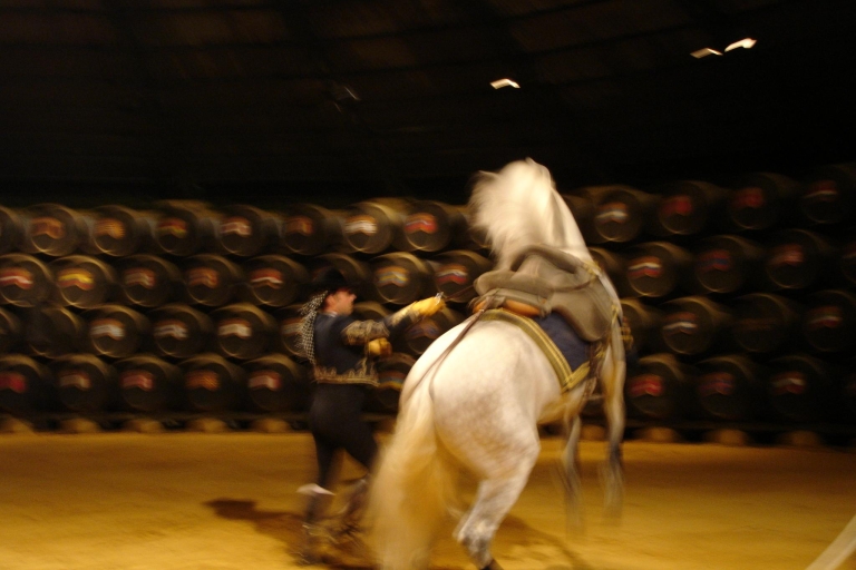 Prywatna wycieczka Jerez z Sewilli: wino i sztuka jeździecka