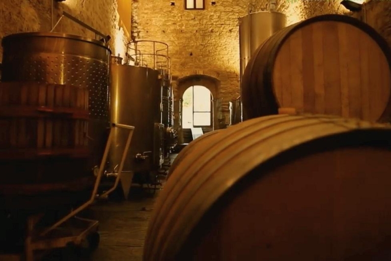 Jerez Private Tour von Sevilla: Wein und Reitkunst