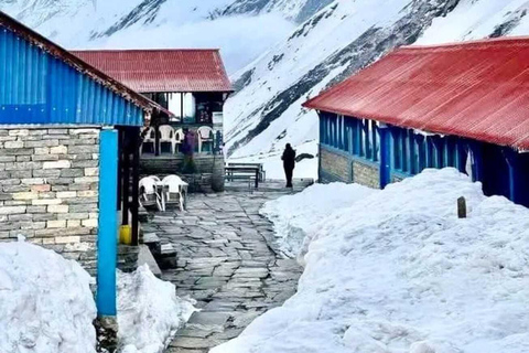 Pkr/Katmandou : Trek de 5 jours au camp de base de l'Annapurna et aux sources chaudesAu départ de Katmandou : trek ABC de 5 jours avec billets d'avion aller simple
