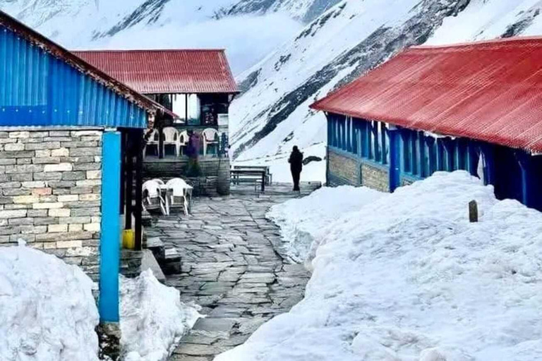 Pkr/Katmandou : Trek de 5 jours au camp de base de l'Annapurna et aux sources chaudesAu départ de Katmandou : trek ABC de 5 jours avec billets d'avion aller simple