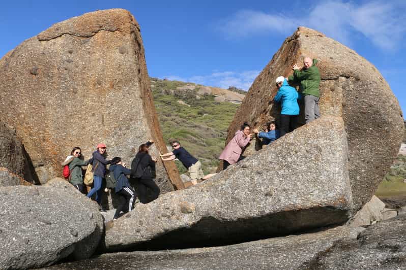 Wilson's Promontory National Park Day Tour From Melbourne GetYourGuide