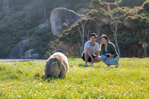 Wilson&#039;s Promontory National Park Tagestour von Melbourne ausAb Melbourne: Tagestour Wilsons-Promontory-Nationalpark