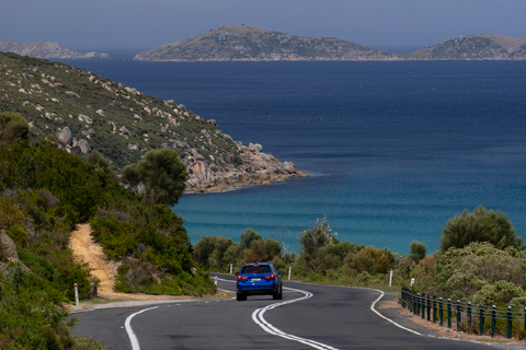 Tour di un giorno del Parco Nazionale di Wilson&#039;s Promontory da MelbourneTour di un giorno al Wilson&#039;s Promontory National Park da Melbourne