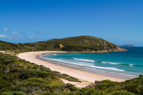 Jednodniowa wycieczka do Parku Narodowego Wilson&#039;s Promontory z MelbourneWilson&#039;s Promontory National Park Day Tour z Melbourne