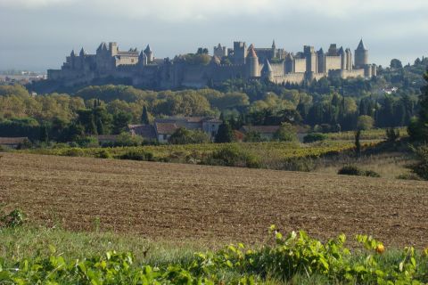 Toulouse to Carcassonne & Albi: Private Sightseeing Tour