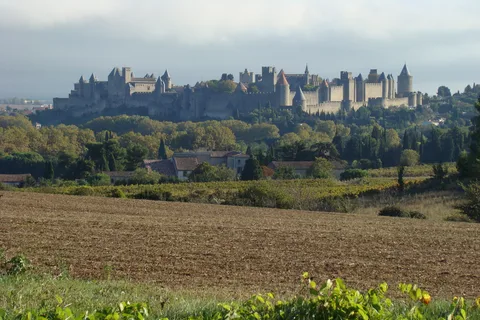 Toulouse to Carcassonne & Albi: Private Sightseeing Tour