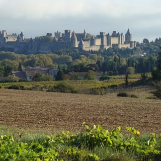 Da Tolosa: tour panoramico privato di Carcassonne e Albi