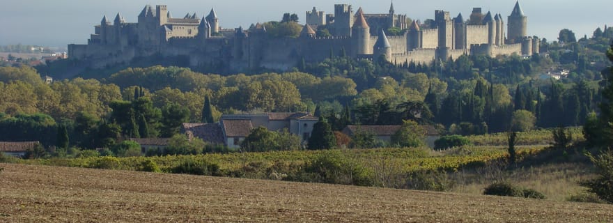 Toulouse, Carcassonne et Albi : Visite touristique privée