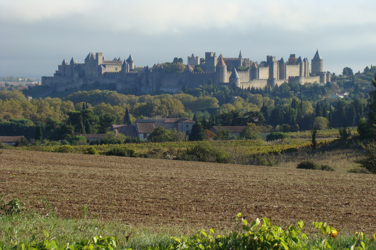 Depuis Toulouse : visite privée de Carcassonne et d'Albi