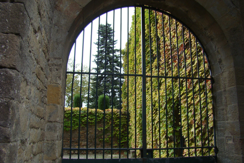 Depuis Toulouse : visite privée de Carcassonne et d'Albi