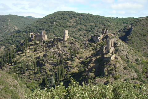 Da Tolosa a Carcassonne e Albi: Tour turistico privatoDa Tolosa: tour privato di Carcassonne e Albi