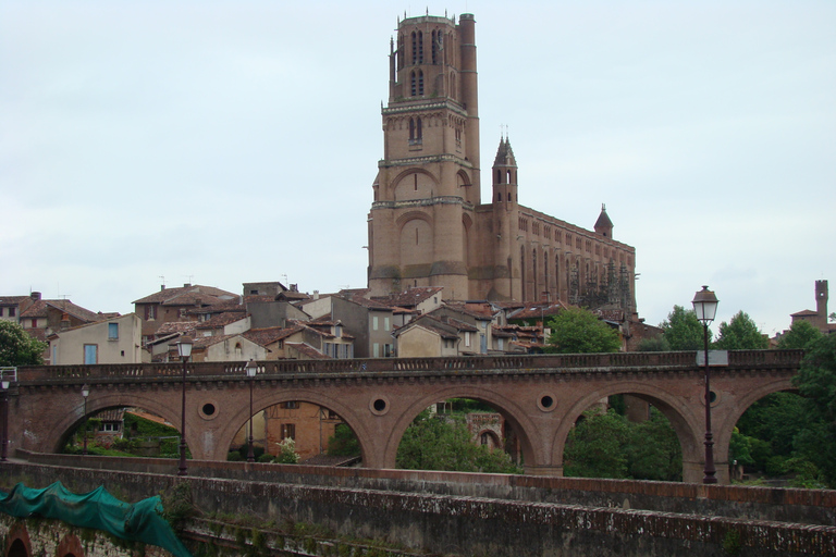 Ab Toulouse: Private Sightseeing-Tour durch Carcassonne und Albi