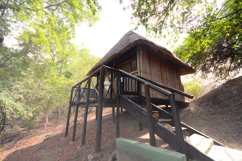 Parque Nacional Kruger: Safári de 3 Dias c/ Casa na Árvore