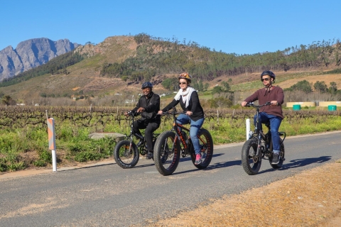 Z Kapsztadu: E-Bike Winelands TourZ Kapsztadu: Electric Bike Winelands Tour
