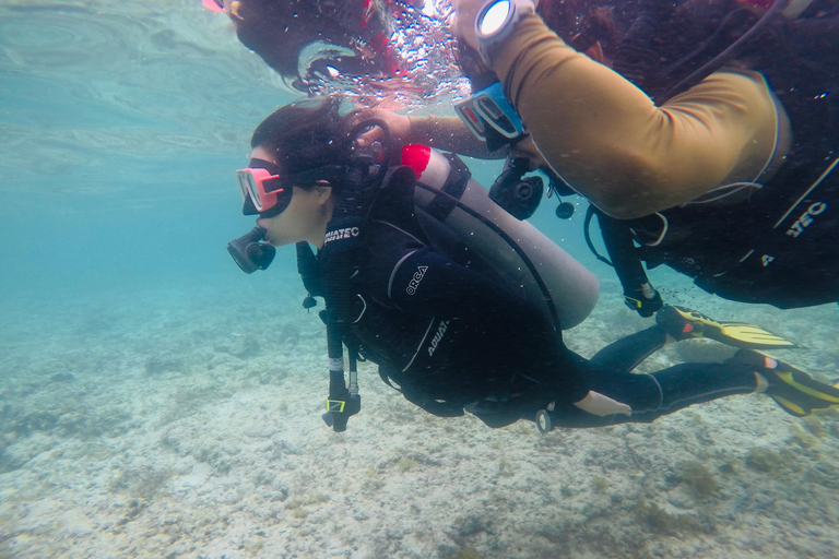 Cebu: Scuba Diving with Sardines and Turtle Snorkel