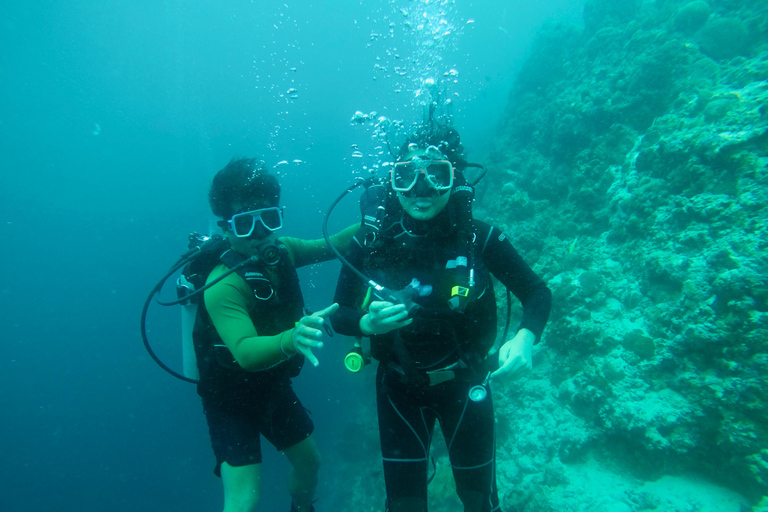 Cebu: Scuba Diving with Sardines and Turtle Snorkel