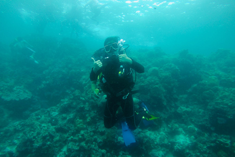 Cebu: Scuba Diving with Sardines and Turtle Snorkel