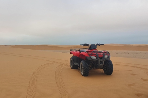 Namib-Wüste: Dünen-Erlebnis & Quad-Tour2,5-stündige Tour