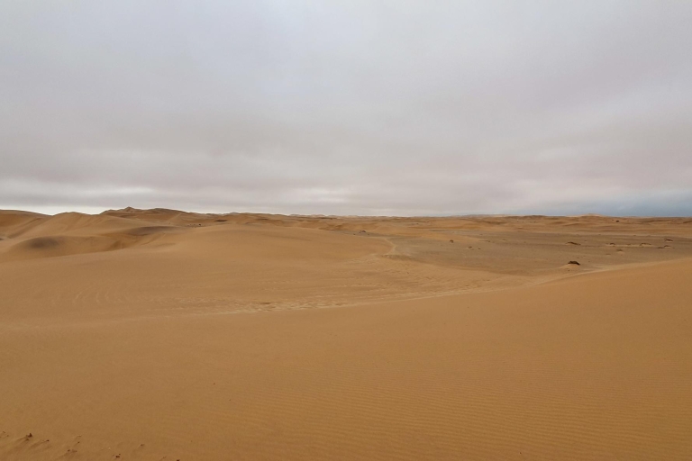 Namib-Wüste: Dünen-Erlebnis & Quad-Tour2,5-stündige Tour mit Abholung in Swakopmund