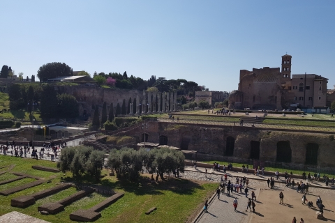 Rome: Fast-Track Private Colosseum Arena & Palatine HillTour in het Spaans