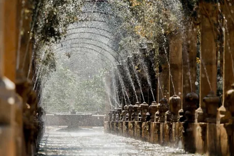 Jardines de Alfabia Indgangsbillet