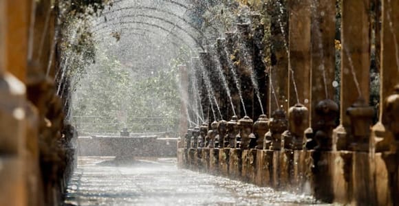 Sóller: Jardines de Alfabia Eingangsticket