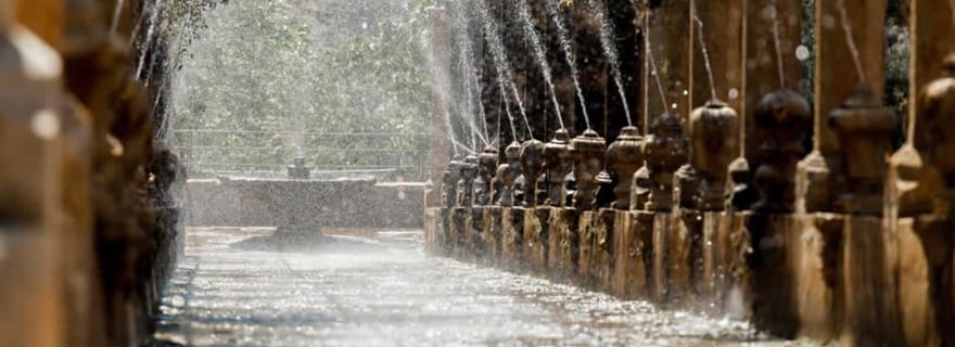 Sóller : Billets d'entrée pour les Jardins d'Alfabia