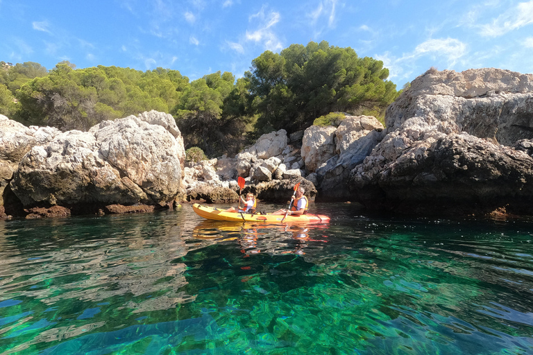 La Herradura: tour in kayak e snorkeling nella riserva di Cerro Gordo