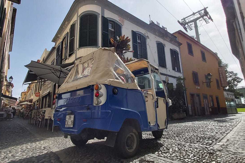 Funchal: Geführte Tuk-Tuk-Tour durch die Stadt