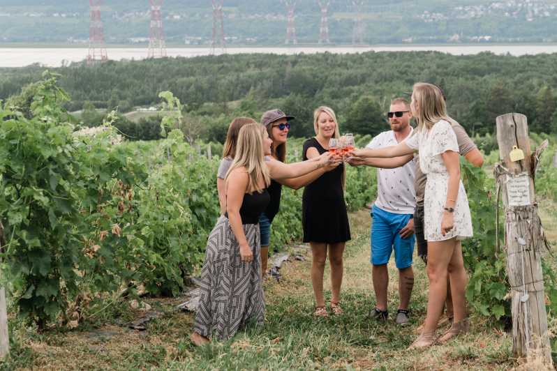 wine tours in quebec city