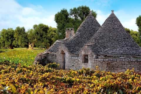 From Bari: 5-Day Puglia and Basilicata Tour