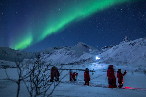 Vanuit Tromsø: Noorderlicht TourVanuit Tromsø: all-inclusive noorderlichttour