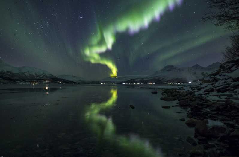 Tromsø: Northern Lights Van Tour | GetYourGuide