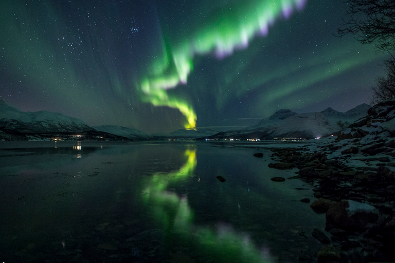 De Tromsø: Excursão à aurora borealDe Tromsø: Excursão Aurora Boreal c/ Tudo Incluído