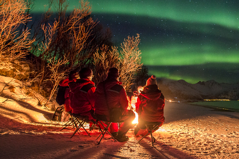 Desde Tromsø: Excursión a la Aurora BorealDesde Tromsø: Excursión a la Aurora Boreal con todo incluido