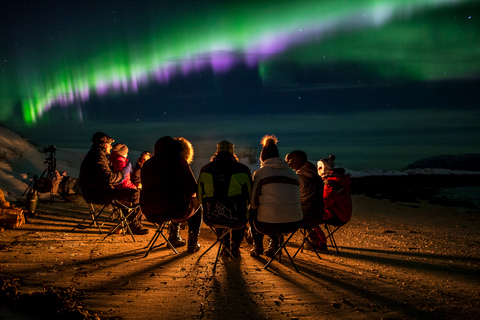 De Tromsø: Excursão à aurora borealDe Tromsø: Excursão Aurora Boreal c/ Tudo Incluído