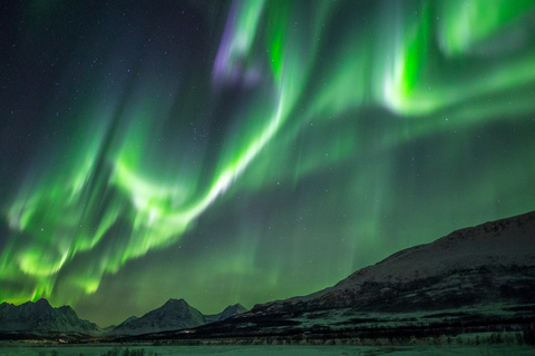 De Tromsø: Excursão à aurora borealDe Tromsø: Excursão Aurora Boreal c/ Tudo Incluído