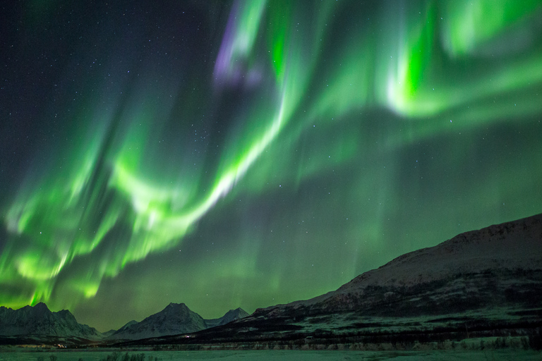 Desde Tromsø: Excursión a la Aurora BorealDesde Tromsø: Excursión a la Aurora Boreal con todo incluido